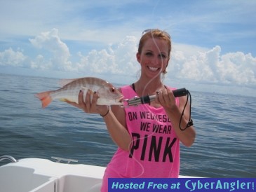 17-inch lane snapper
