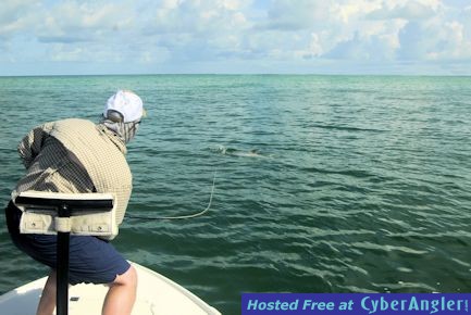 Kirk Grassett Sarasota fly tarpon fight