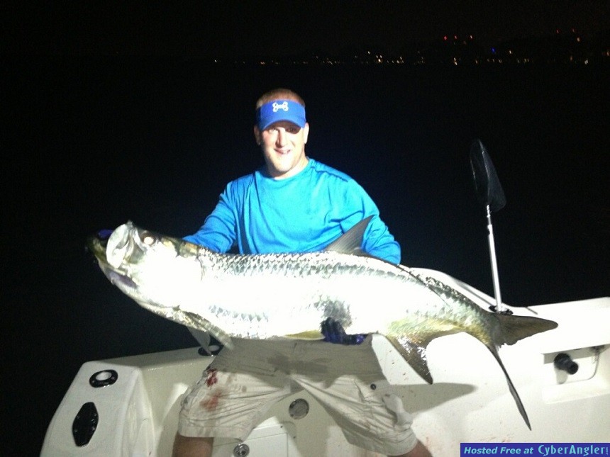 Tarpon