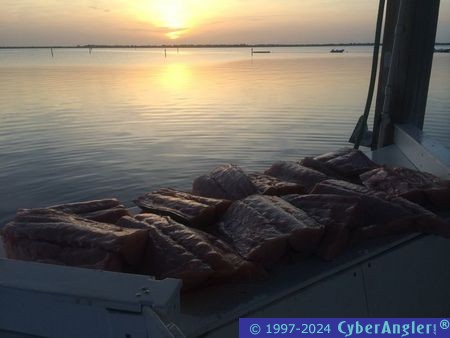 Swordfish Fishing Trip, Stuart, FL