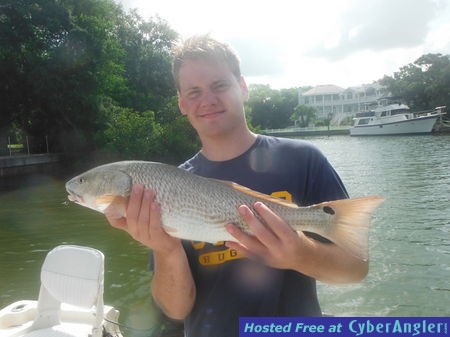 Click to Enlarge Photo