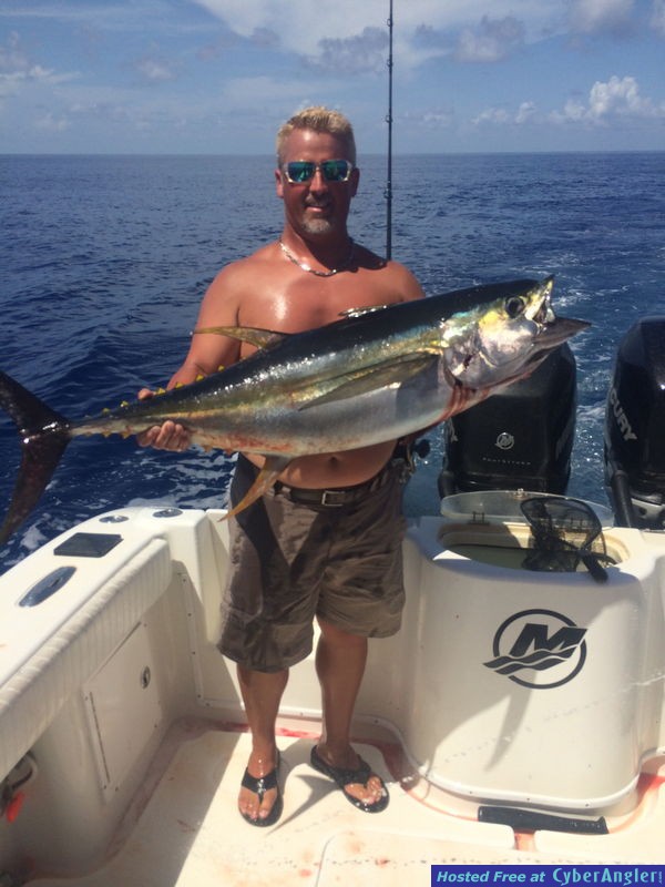 Yellowfin Tuna