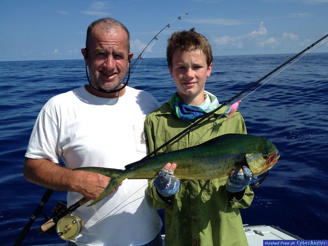 Mahi on fly