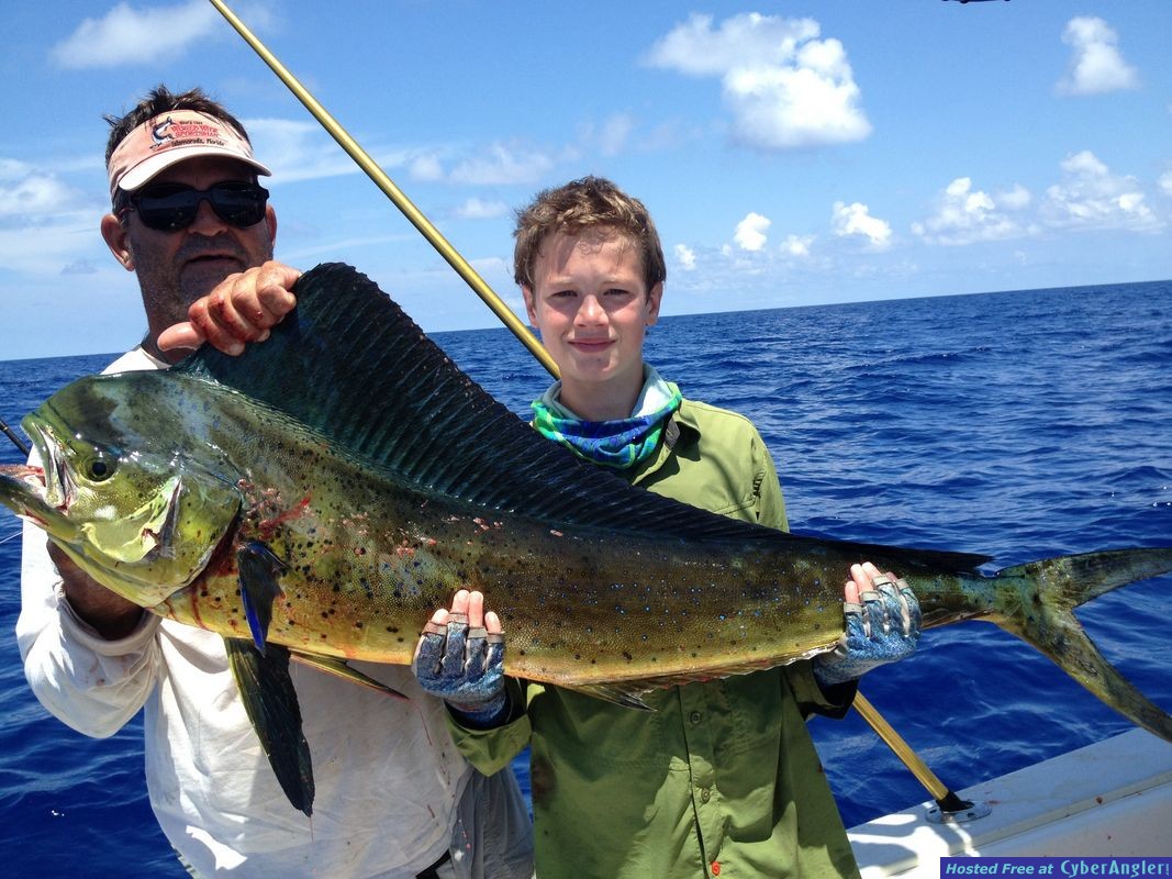 Big dolphin on spinning tackle