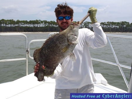 Click to Enlarge Photo