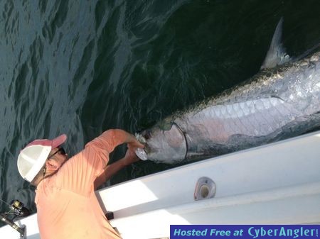 Click to Enlarge Photo