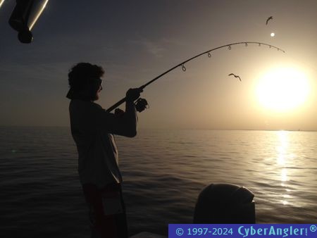 Click to Enlarge Photo