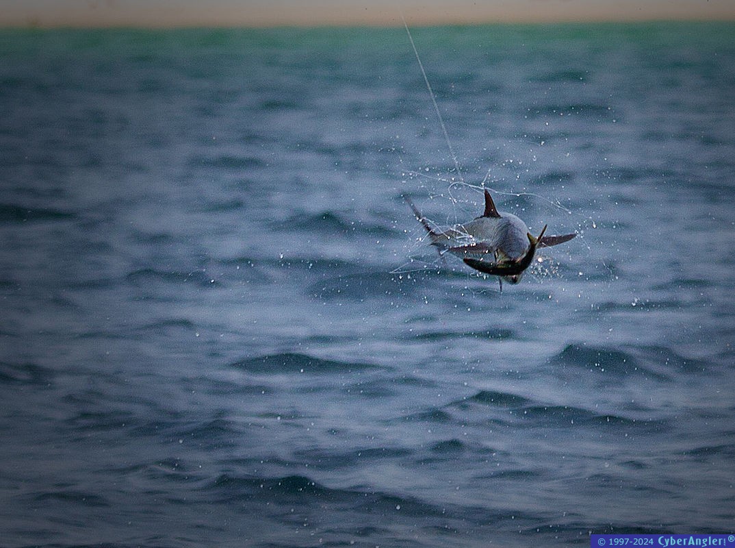 fishing_guides_panama_city_8515