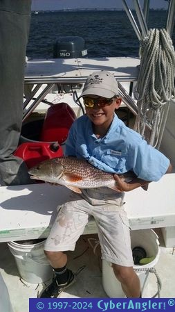 Click to Enlarge Photo