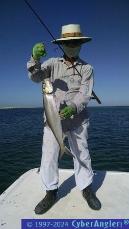 Click to Enlarge Photo