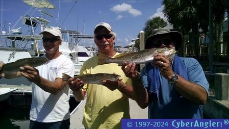 Click to Enlarge Photo