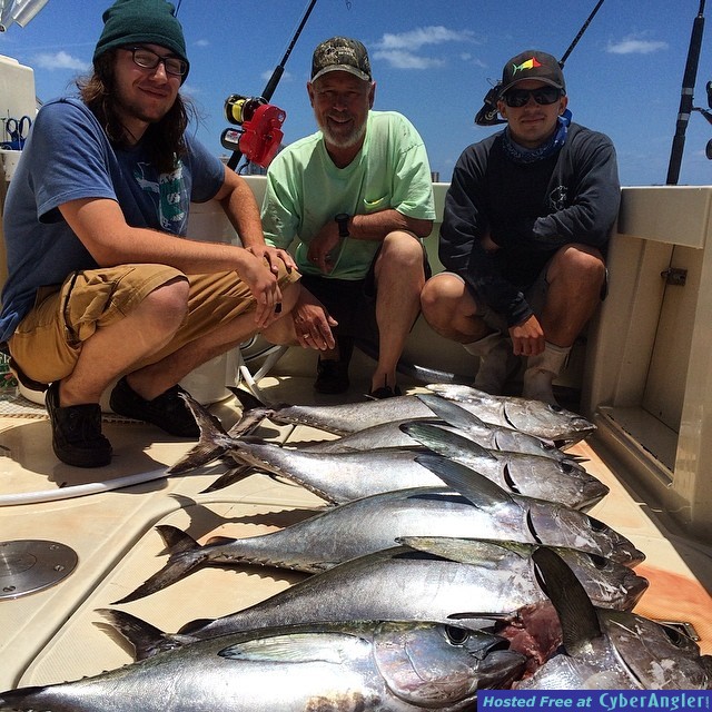 Blackfin Tuna