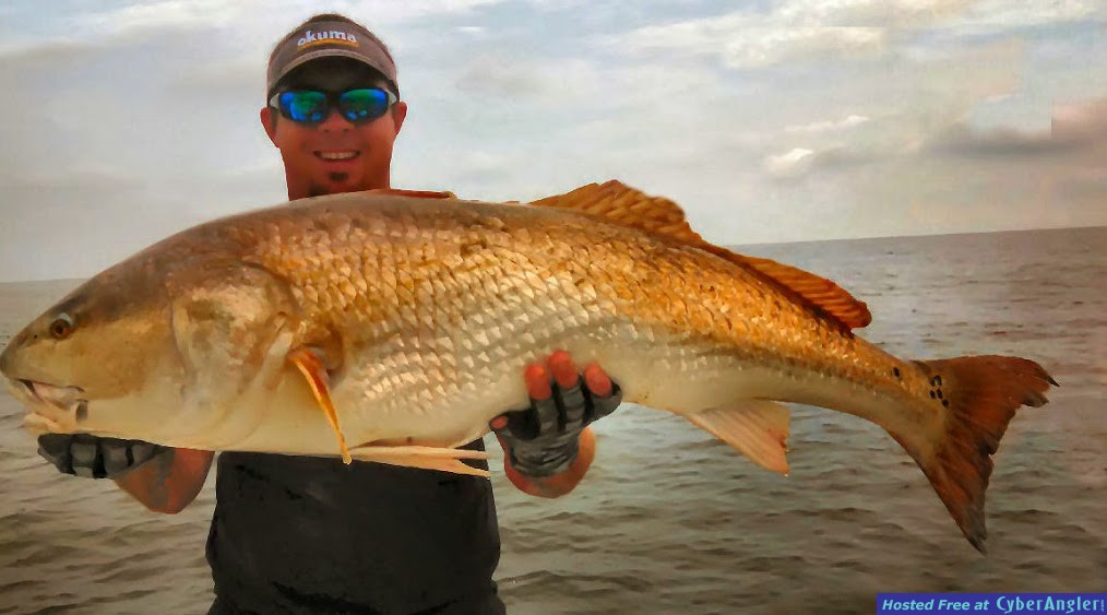 Bull Redfish