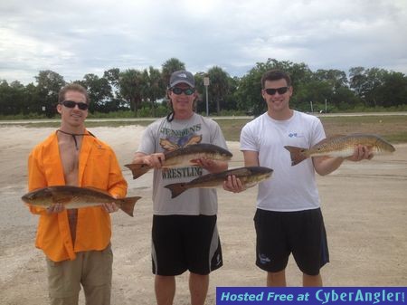 snook, reds, trout, snapper