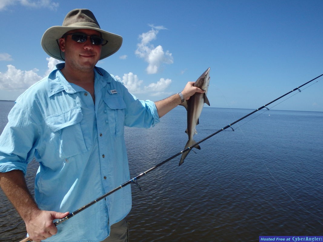 Bradley_n_shark