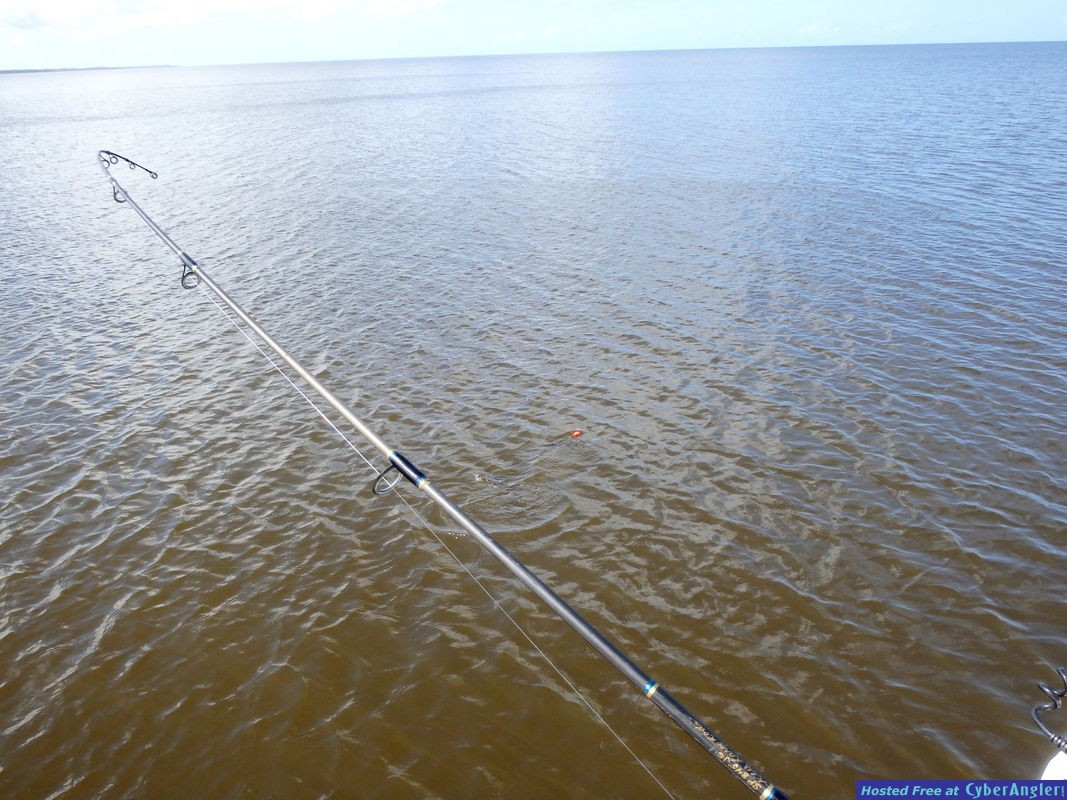 Charlie_n_tarpon