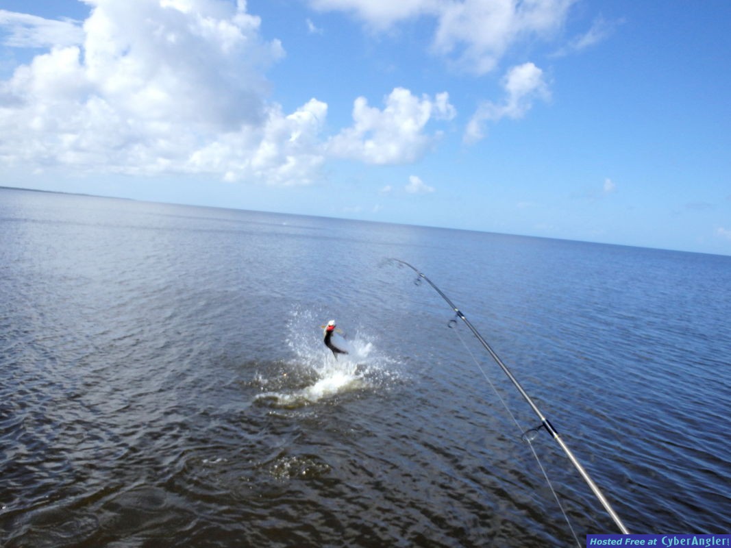 Charlie_n_tarpon_2