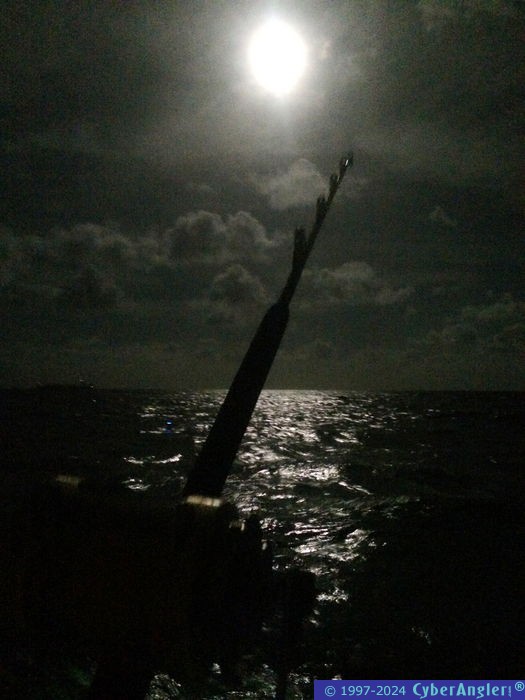 Fishing Stuart, FL