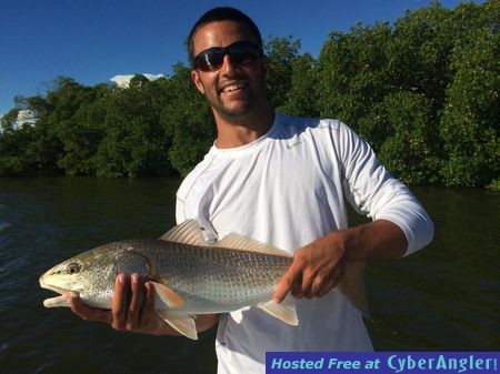 Naples Redfish