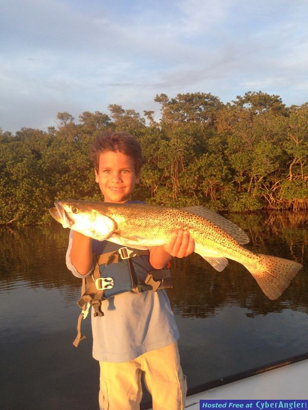 Hungry Fish and Sunsets