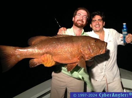 Big Cubera Snapper