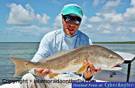 Redfish On Fly!