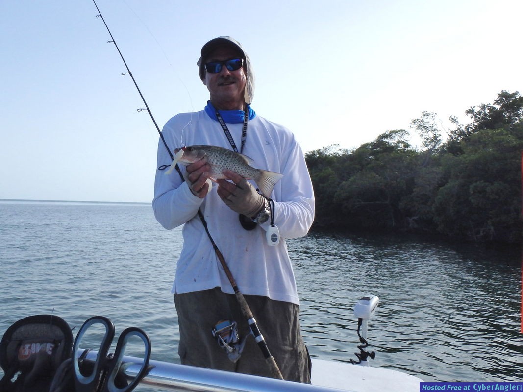 Alan_n_Hookup_lure_mangrove