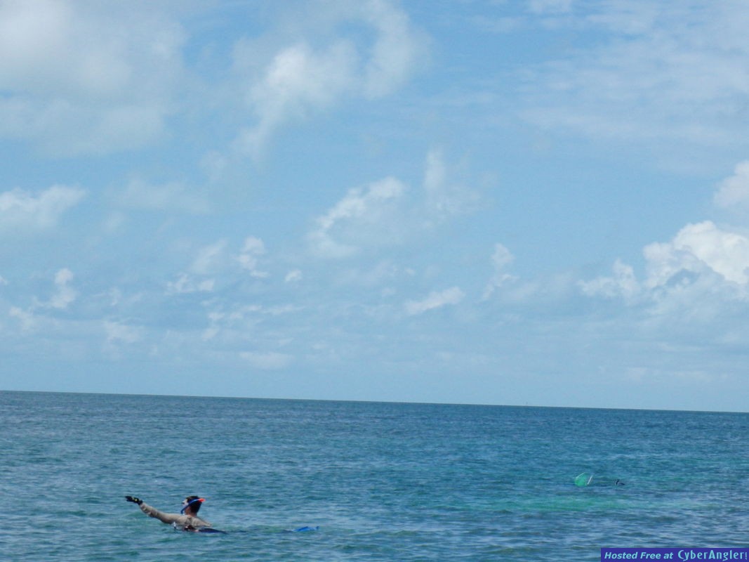 Click to Enlarge Photo
