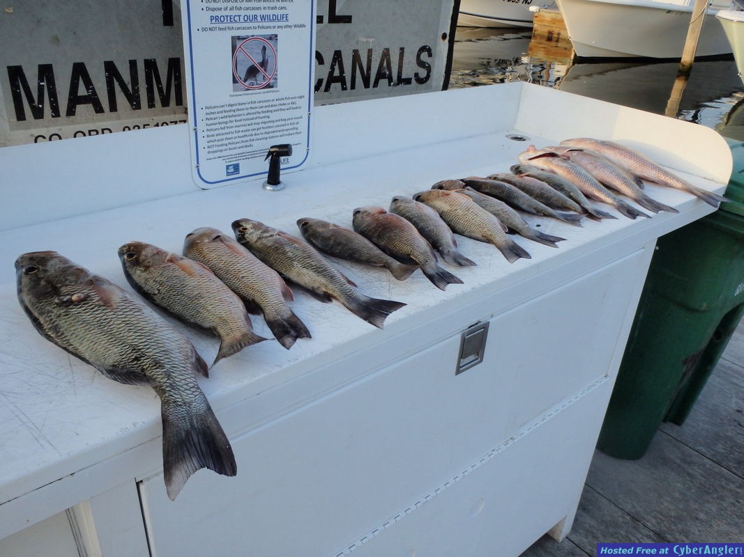 Part_of_the_catch