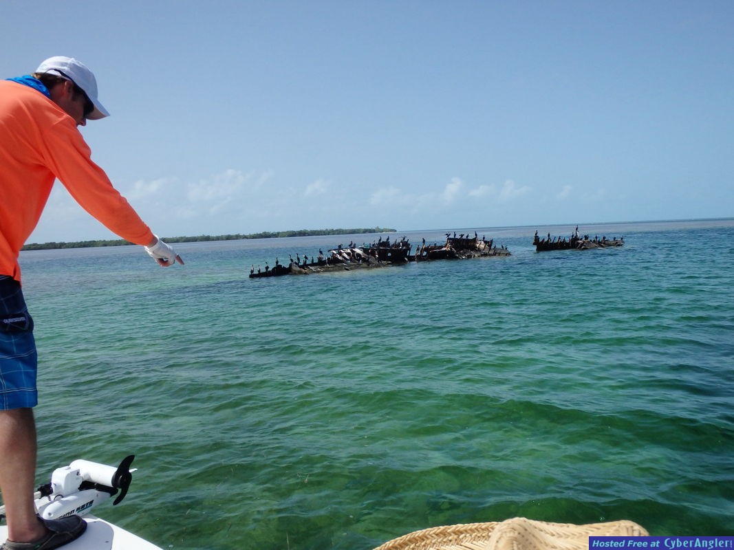 Click to Enlarge Photo