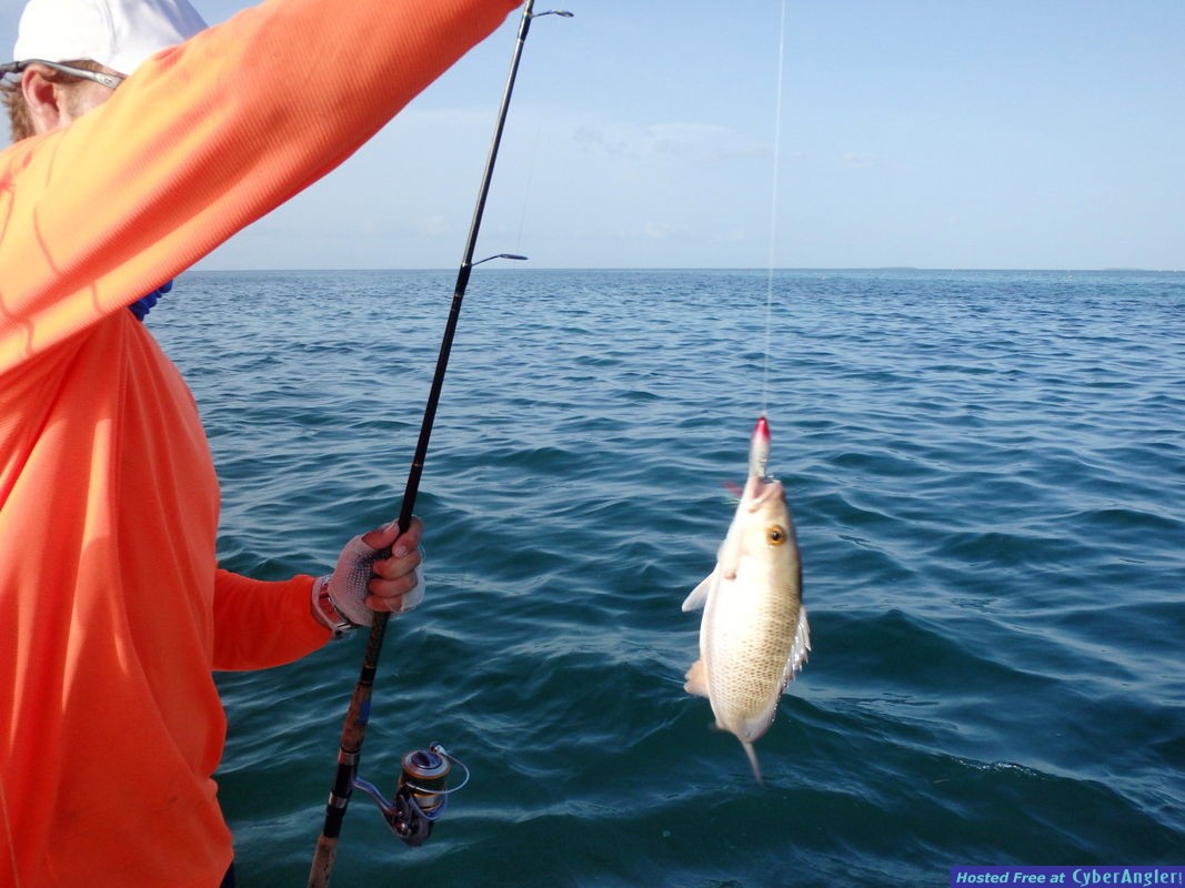 Zach_n_mangrove_on_a_Rapala_SubWalk