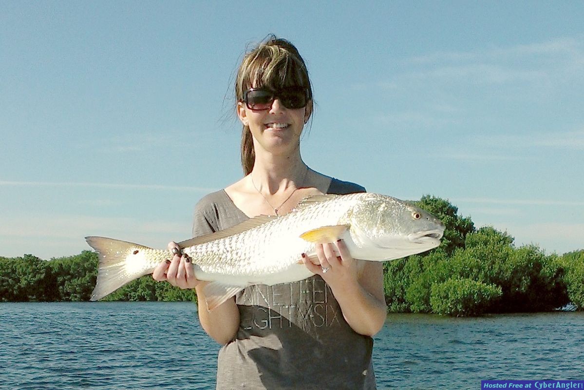 Tampa Bay Fishing
