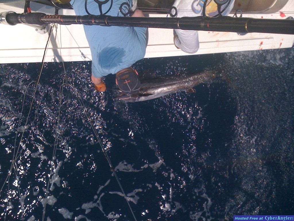 Ft Lauderdale Deep Sea Fishing