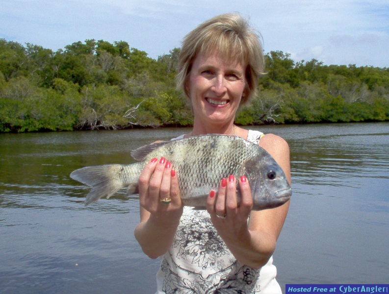 sheepshead