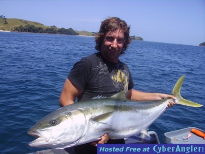 Yellowtail Kingfish