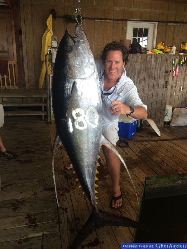 Yellowfin Tuna Venice, La