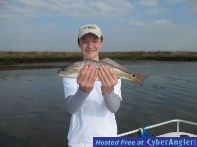 Click to Enlarge Photo