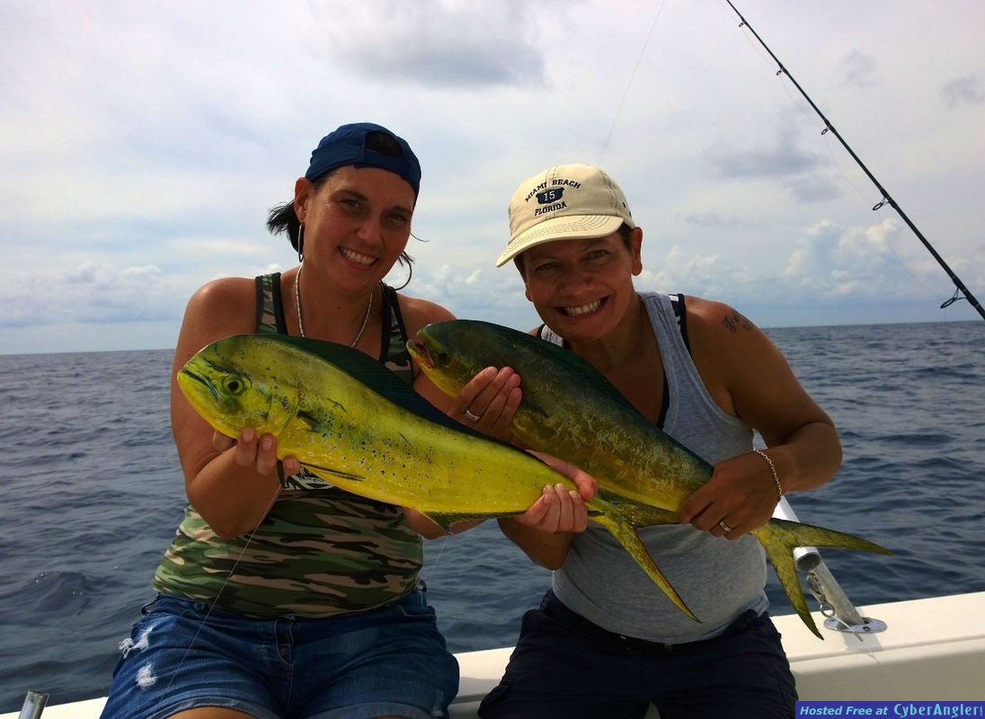 Click to Enlarge Photo