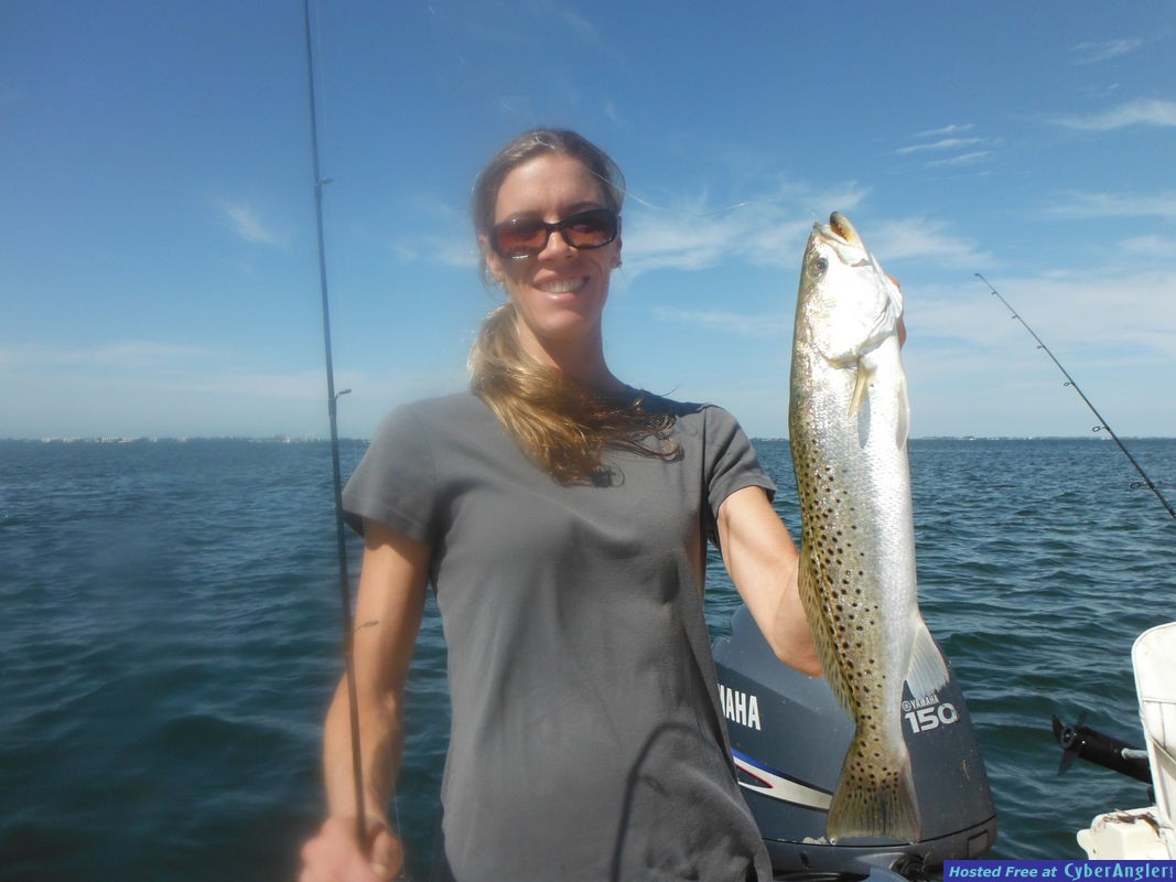 Sarasota fishing report Capt Jim Klopfer 10/11/2014
