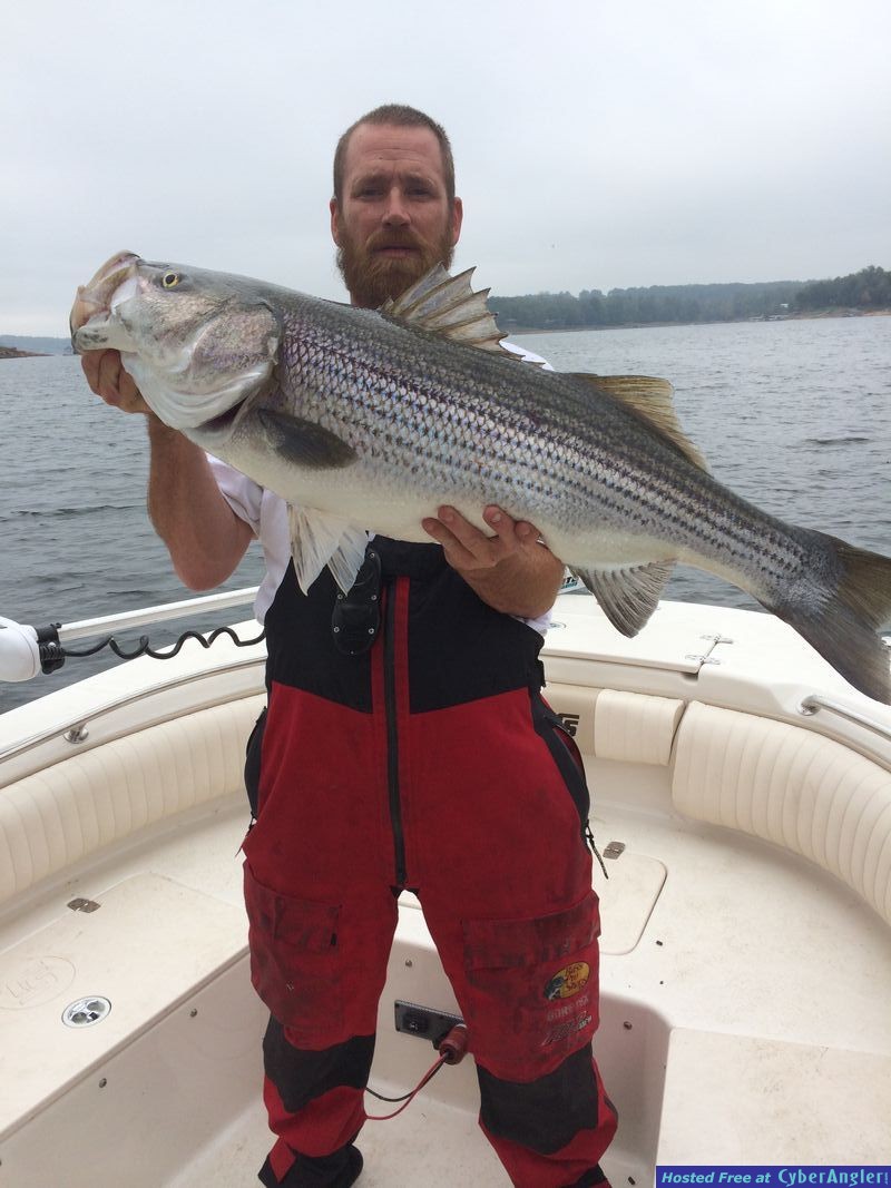 Striped bass fishing guide Mike Walker on Lewis Smith lake
