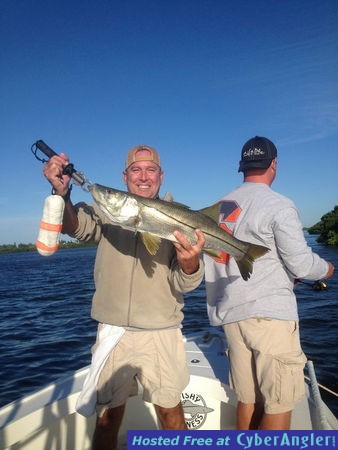 snook, reds, trout, snapper