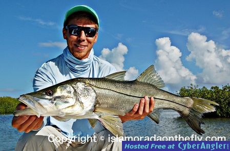 Click to Enlarge Photo