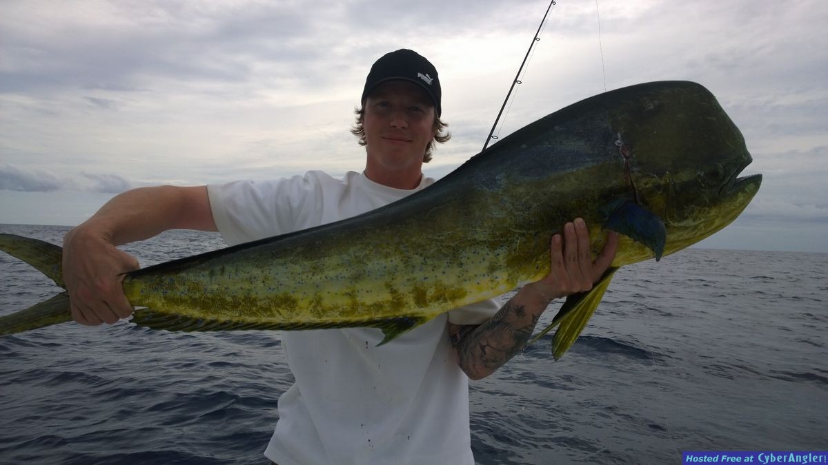 Click to Enlarge Photo