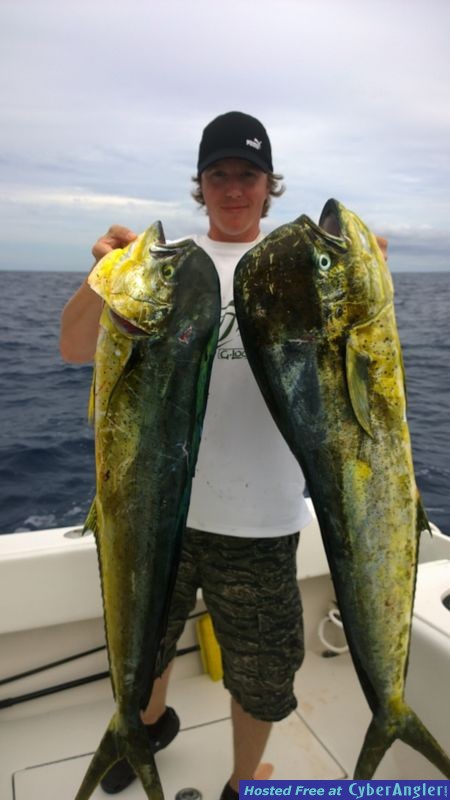 Click to Enlarge Photo