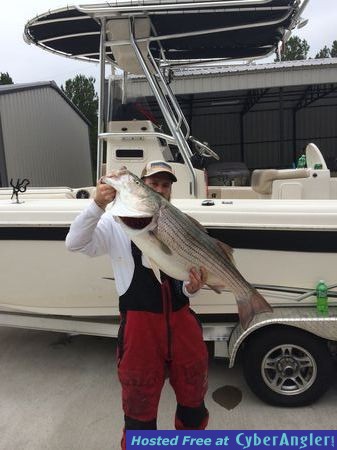 Striper247SmithLake.Com