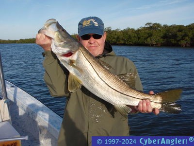 Click to Enlarge Photo