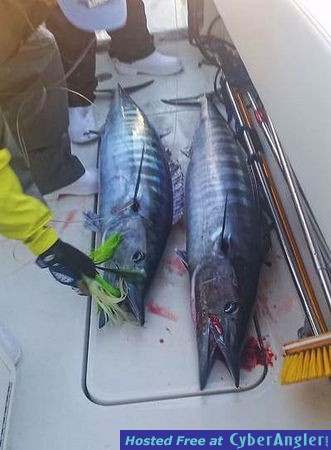 Click to Enlarge Photo