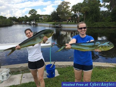 firstmahi