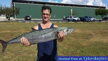 Kingfish Available Offshore