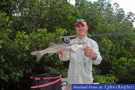 Snook on fly in the Mangroves